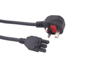 GST Leads & Extensions