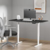 EDF52DW Ergolite White dual-motor electric desk frame