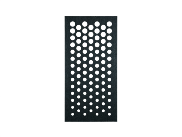 dotty bk
