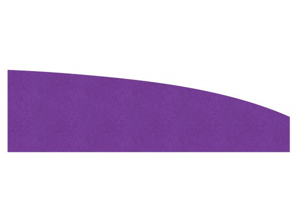 EcoCurve desk screen image in purple