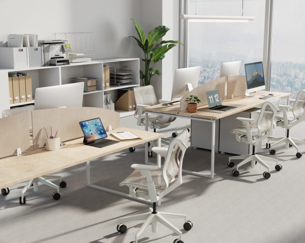 EcoCurve desk screen lifestyle image
