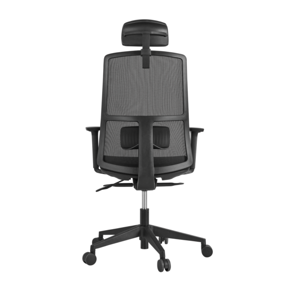 ARC Comfort - Back- Focused